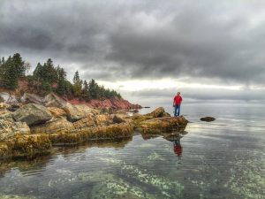 Sweetie in Newfoundland